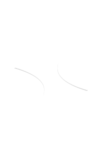 Proposition de logo : Synecia