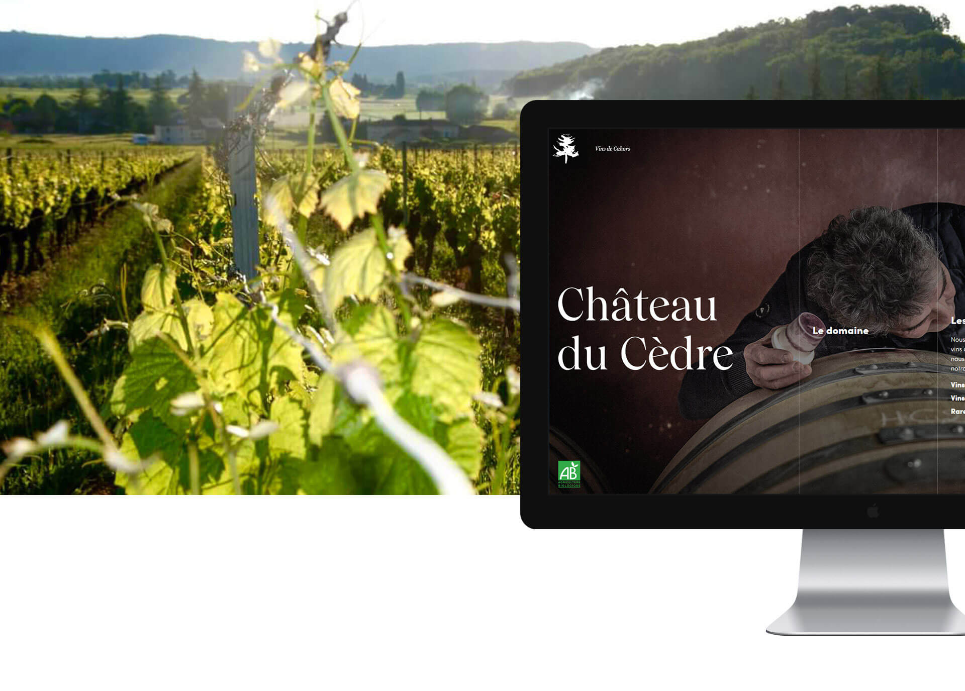 Création de site internet / E-commerce : Château du Cèdre