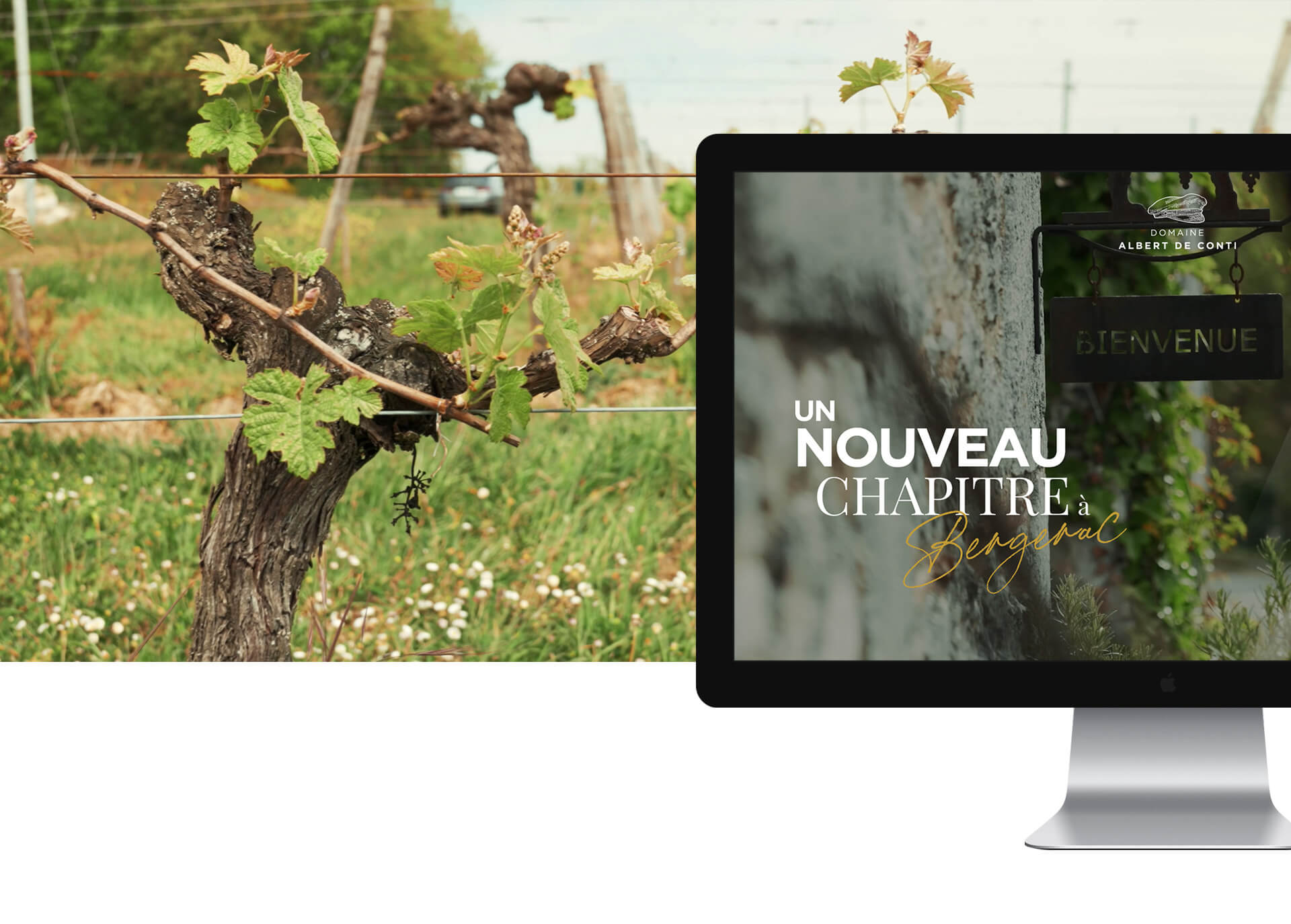 Création de site internet : Domaine Albert de Conti